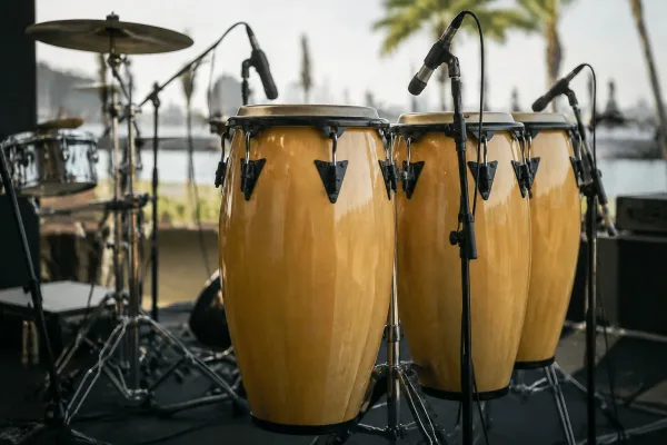 Congas Drums