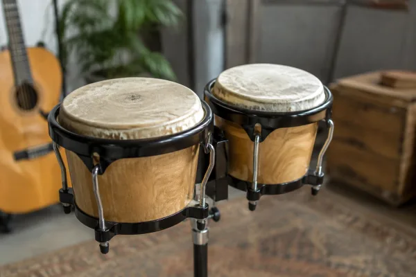 Bongo Drum Instrument