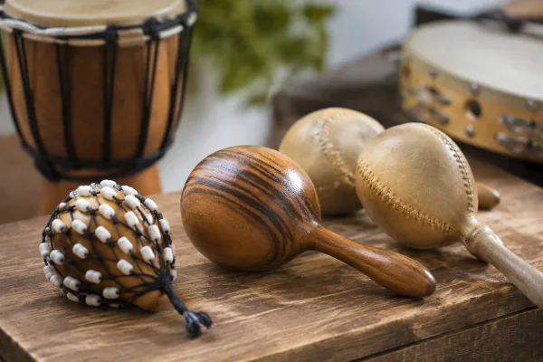 Shaker Instrument
