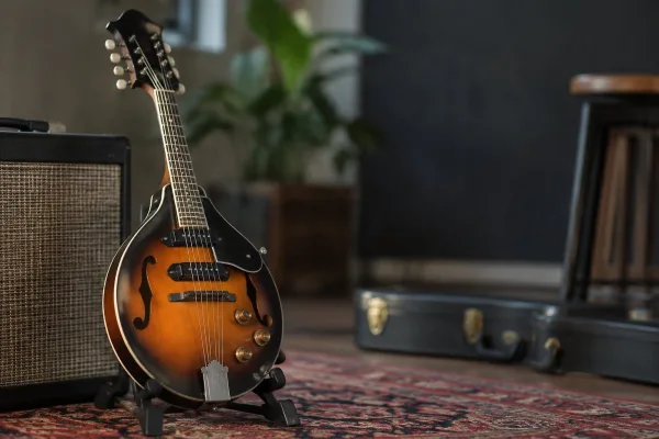 Electric Mandolin