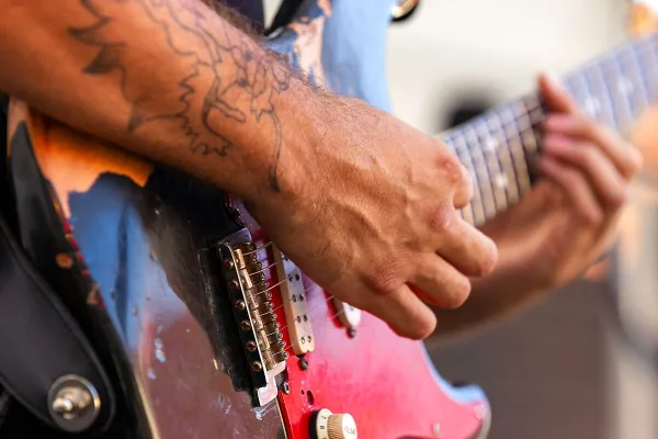 Seagull Electric Guitar