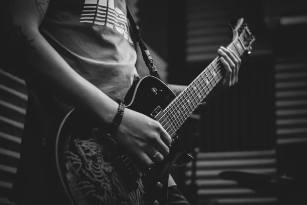 Acoustic Guitar Microphone