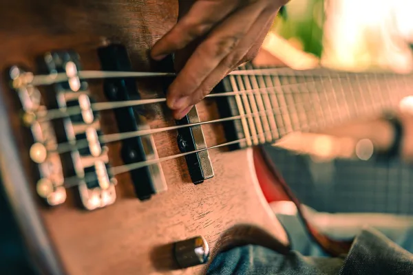 5 String Fretless