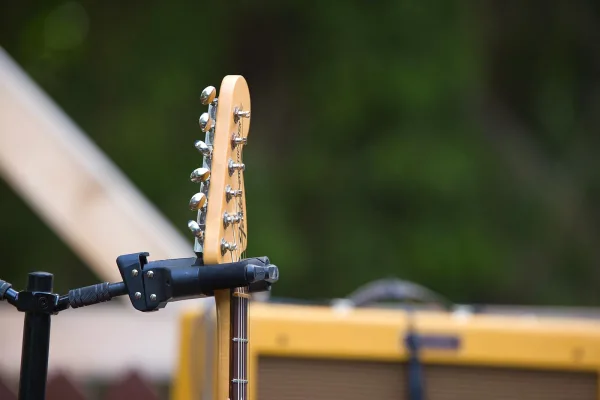 Sterling Bass Guitar