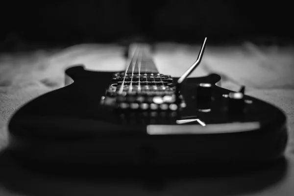 Gig Bag Electric Guitar