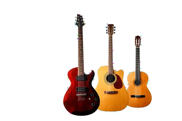 Fender Semi Acoustic Guitars