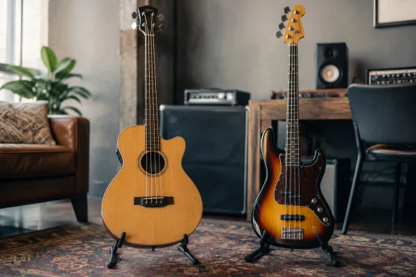 Acoustic and Electric Bass