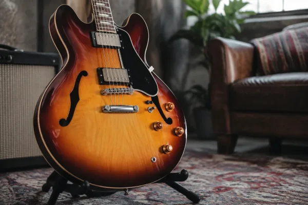 Semi Acoustic Guitar