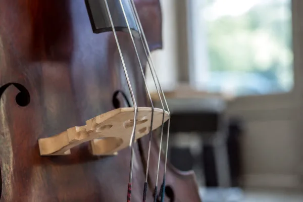 Stand Up Bass Strings