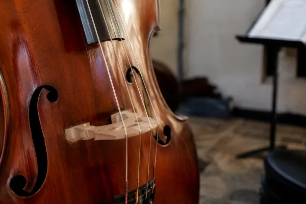 Upright Bass Strings