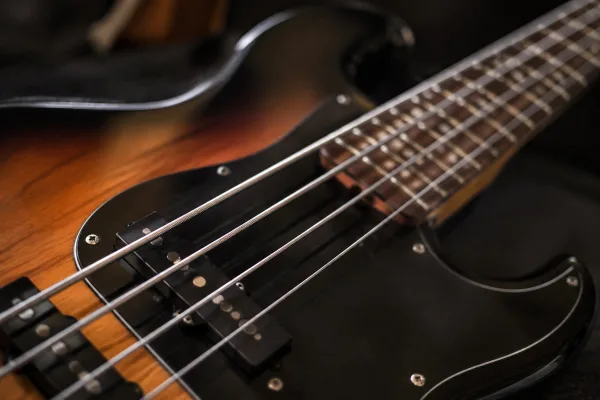 Bass Strings
