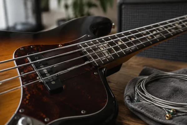 Flatwound Bass Strings