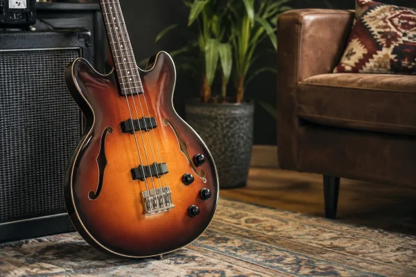 Semi Hollow Body Bass