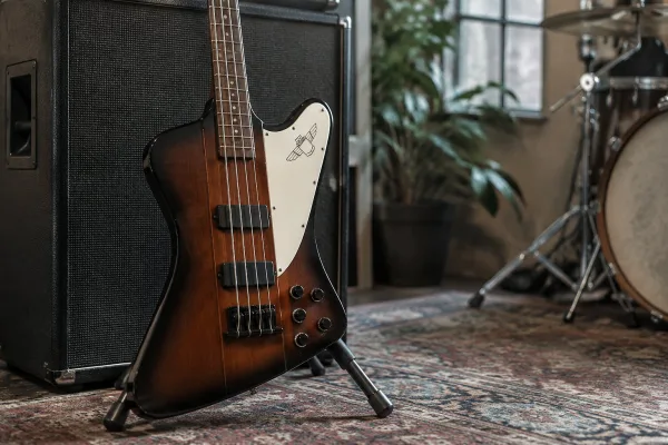 Thunderbird Bass Guitar