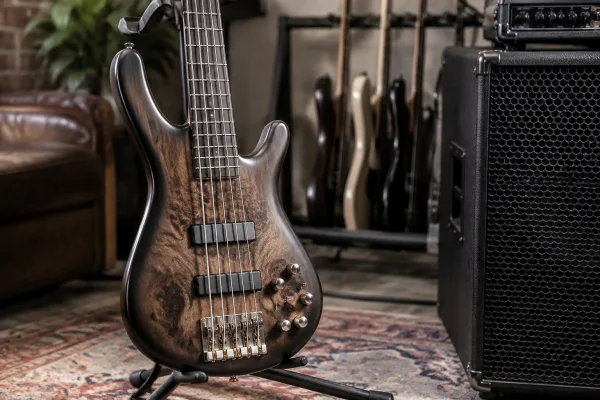 Warwick Bass Guitar