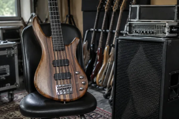 Warwick Bass