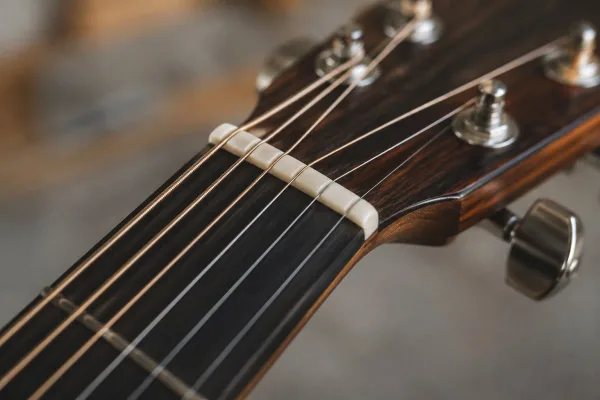 Guitar Nut