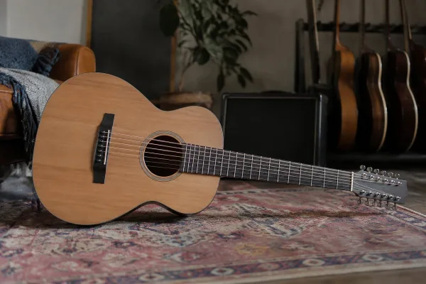 Ten Gauge Guitar Strings