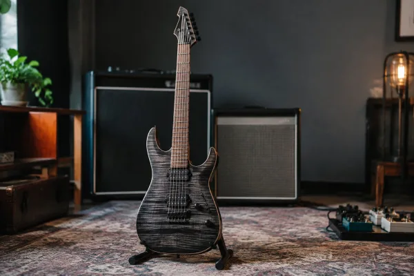 Chapman Guitar