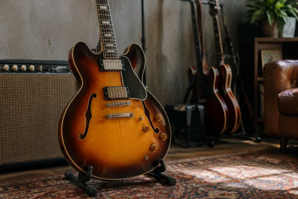 Semi Hollow Guitar
