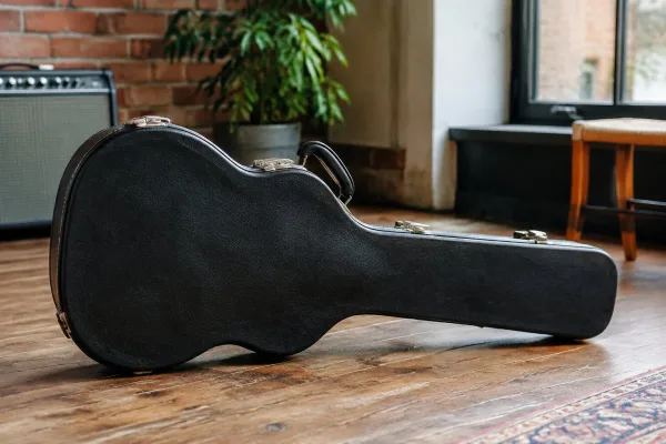 Guitar Case