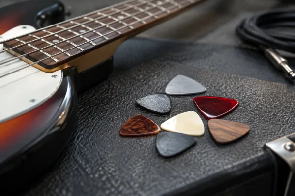 Bass Plectrums