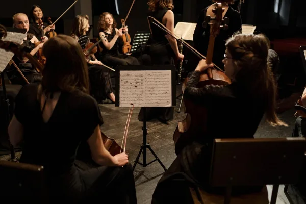 Gig Economy Musicians