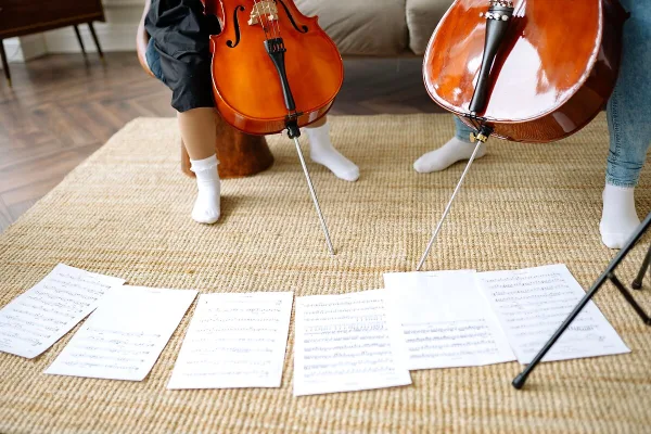Student Violin