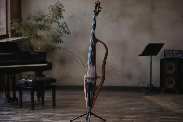 Electric Double Bass