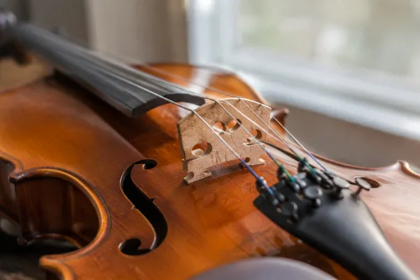 Bridge Violin