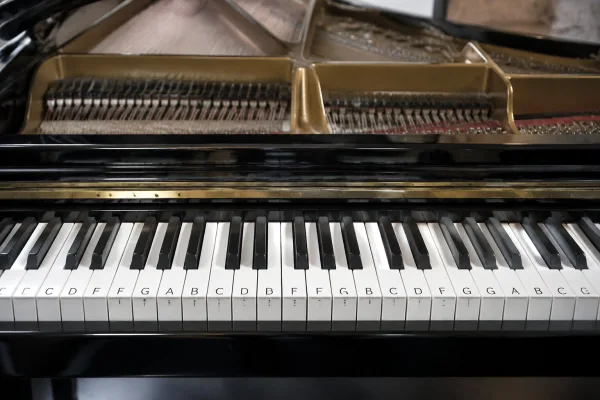 Piano with Labels