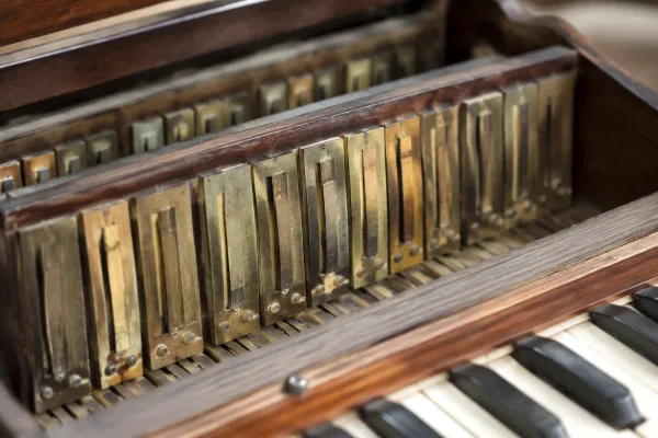 Reed in Instruments