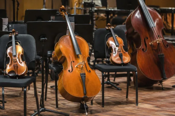 Orchestral String Instruments