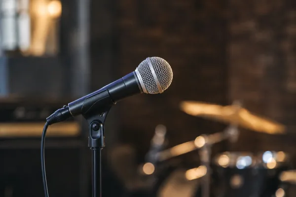 Dynamic Microphone