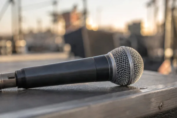 Handheld Microphone
