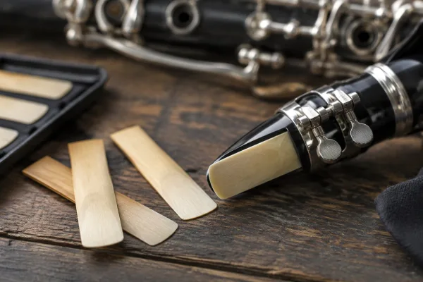 Clarinet Reeds