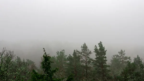 A Beginner's Guide to Black Metal