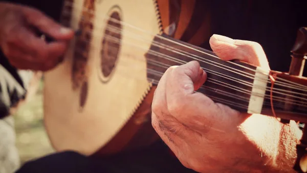 Bouzouki Explained: Features, Types and Tips