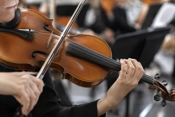 Beginner Violin: A Complete Buyer's Guide