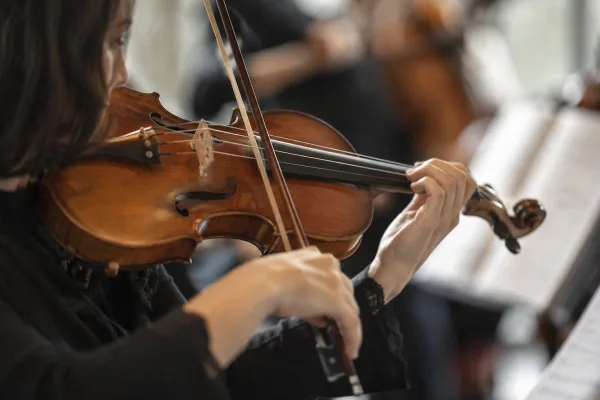 How to Set Up and Use Violin