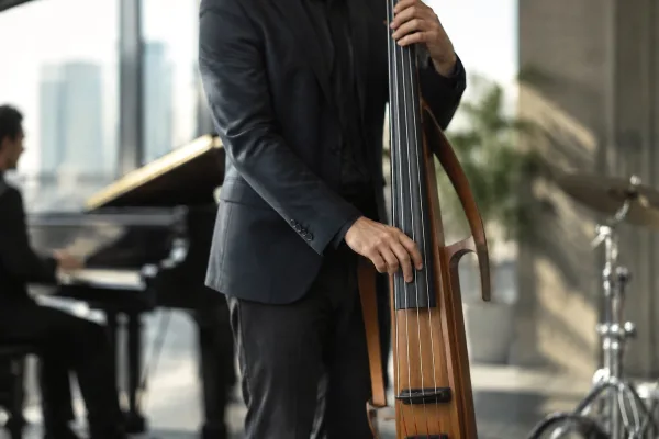 Upright Electric Bass: A Complete Buyer's Guide