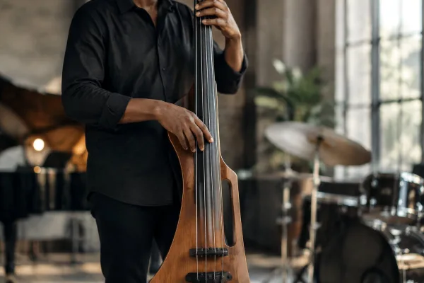 Upright Electric Bass for Beginners: A Complete Guide