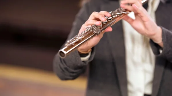 Pan Flute: A Complete Buyer's Guide
