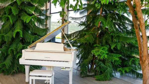 Piano Bench for Beginners: A Complete Guide
