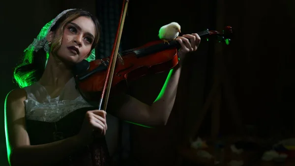 Primavera Violin: A Complete Buyer's Guide
