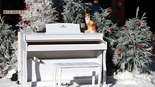 Roland Digital Piano Explained: Features, Types and Tips