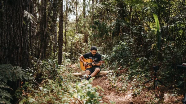 Taylor Acoustic Guitar Explained: Features, Types and Tips