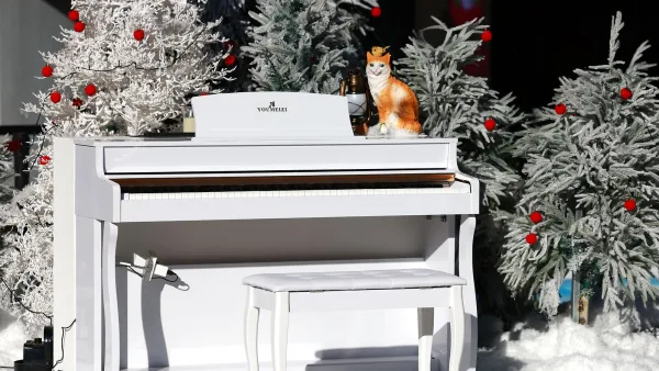 The Best Kawai Digital Pianos for the Money