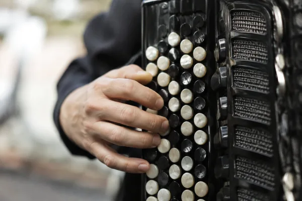 Button Accordion: A Complete Buyer's Guide