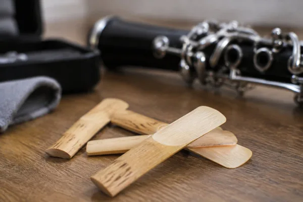 Clarinet Reeds: A Complete Buyer's Guide